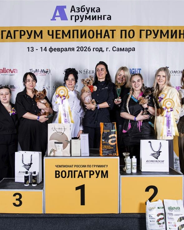 Победители чемпионата по грумингу «Волгагрум» 2026 на пьедестале