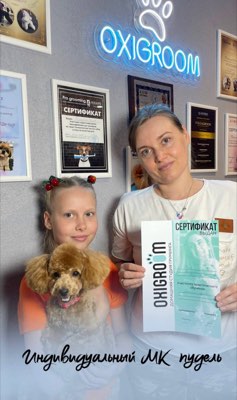 Выпускники курса груминга в студии ОксиГрум