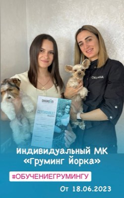 Выпускники курса груминга в студии ОксиГрум
