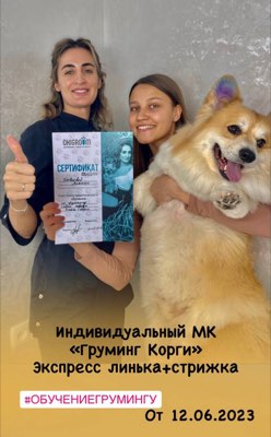 Выпускники курса груминга в студии ОксиГрум