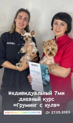 Выпускники курса груминга в студии ОксиГрум