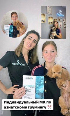 Выпускники курса груминга в студии ОксиГрум