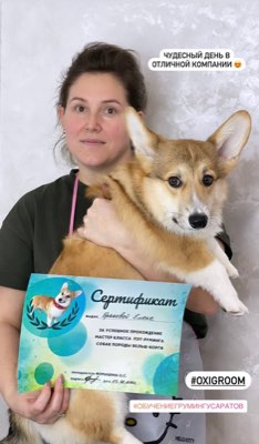 Выпускники курса груминга в студии ОксиГрум