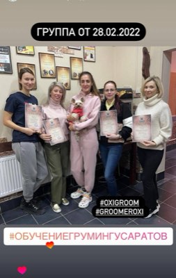 Выпускники курса груминга в студии ОксиГрум