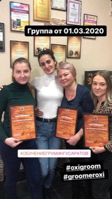 Выпускники курса груминга в студии ОксиГрум