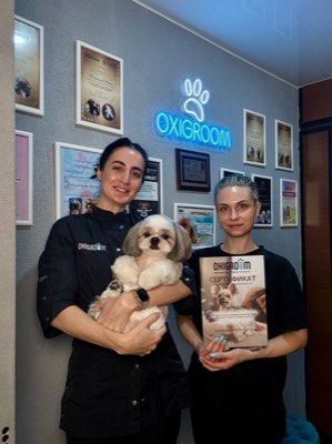 Выпускники курса груминга в студии ОксиГрум